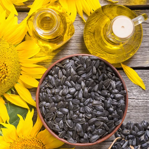 500х500_головна_2