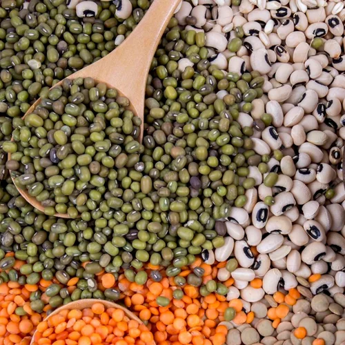 500х500_головна_3