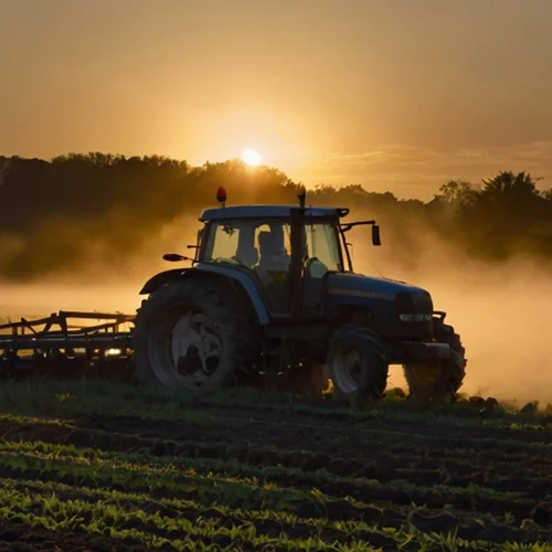 500х500_головна_5